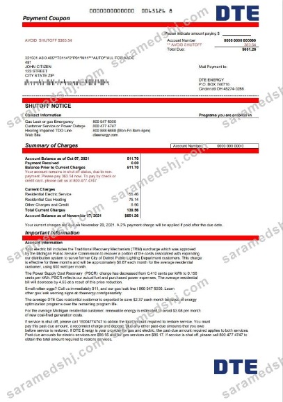USA Michigan DTE Energy utility bill template in Word and PDF format